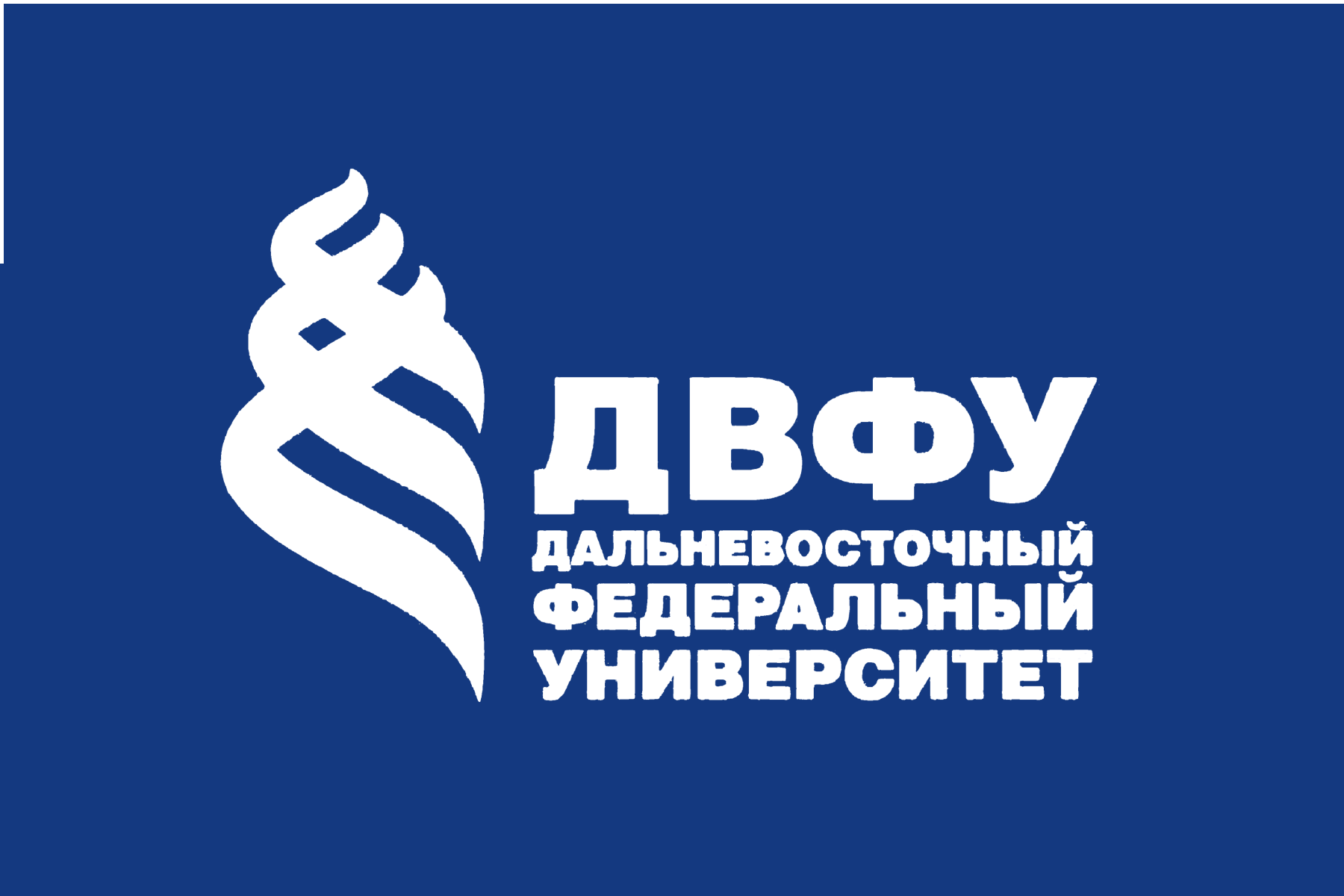 Logo4dvfu